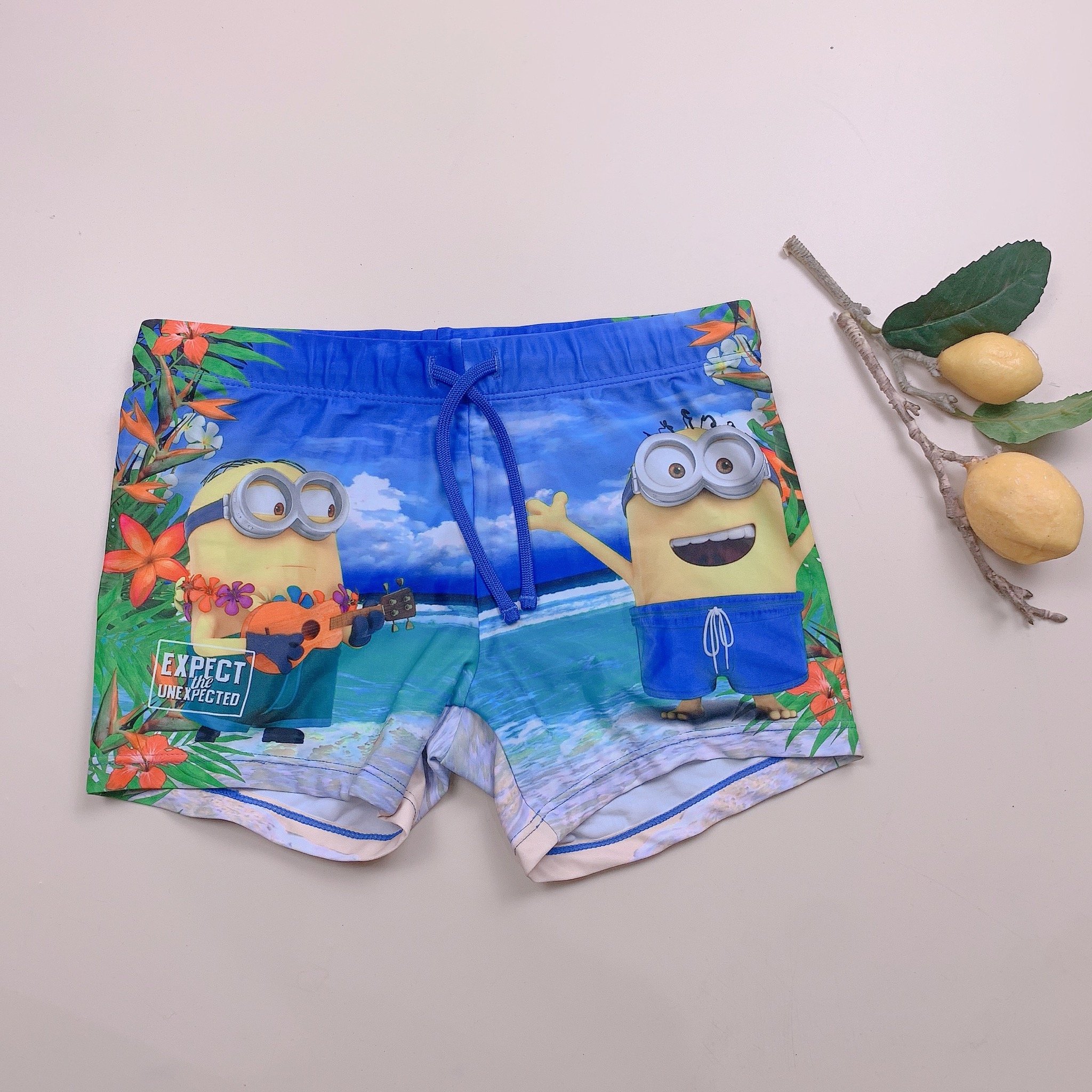 DB00045 - Quần bơi cho bé trai - Bảng màu 1