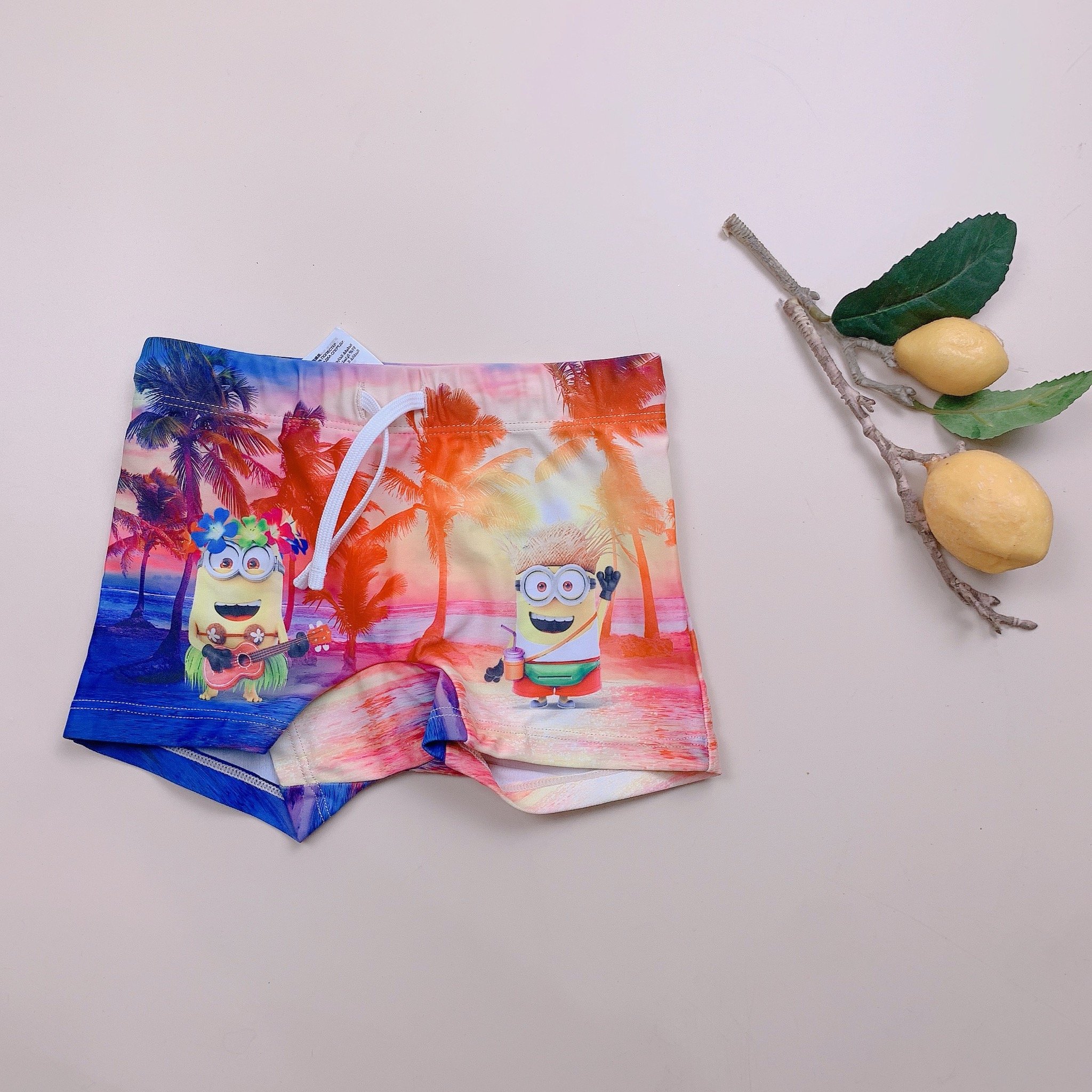 DB00045 - Quần bơi cho bé trai - Bảng màu 1