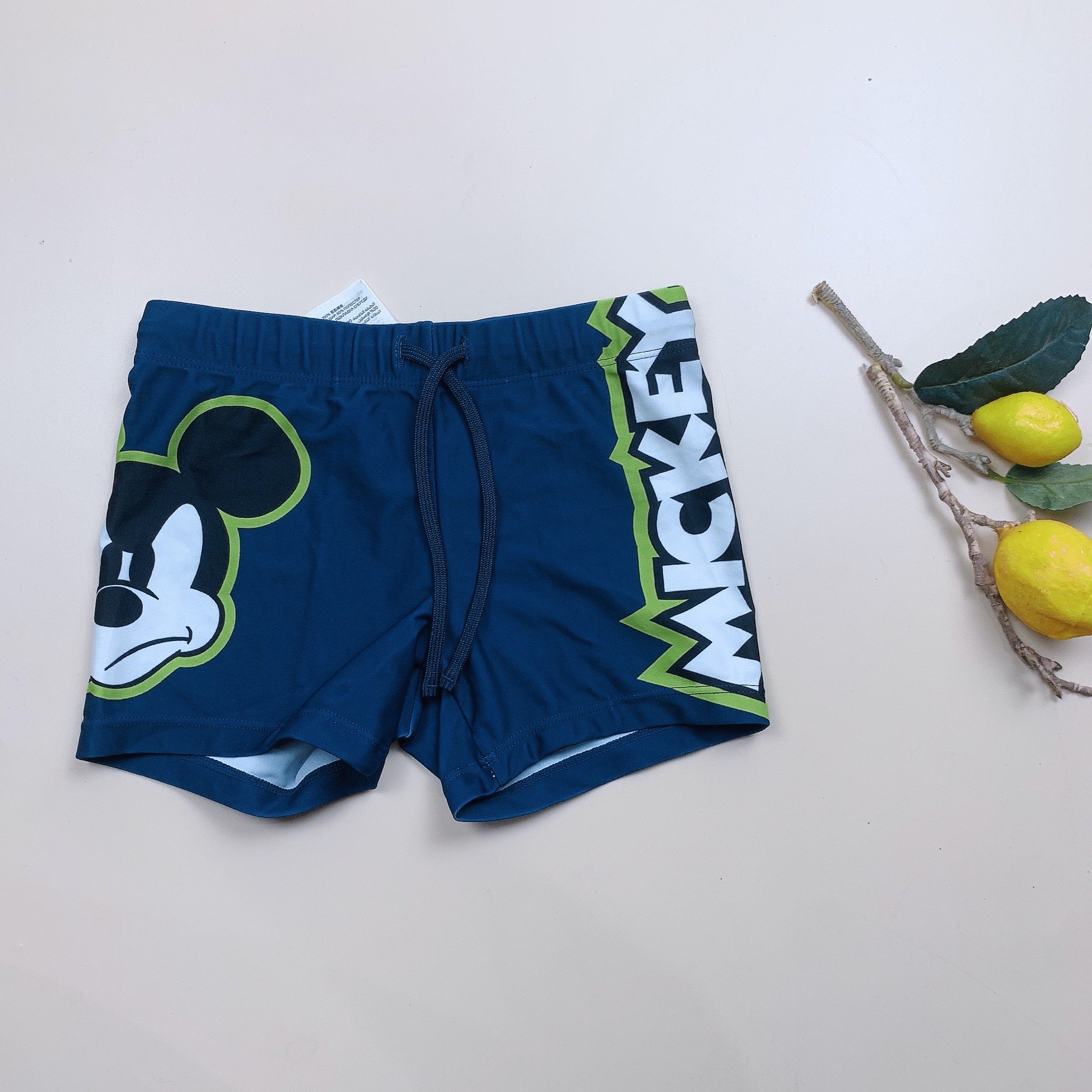 DB00045 - Quần bơi cho bé trai - Bảng màu 1