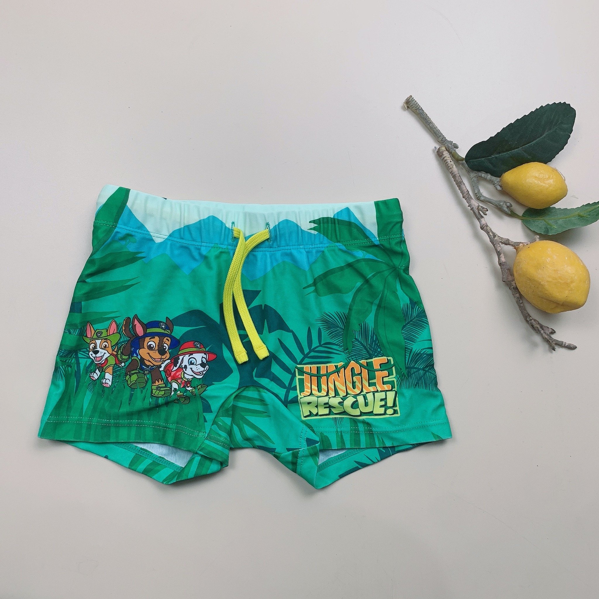 DB00045 - Quần bơi cho bé trai - Bảng màu 1