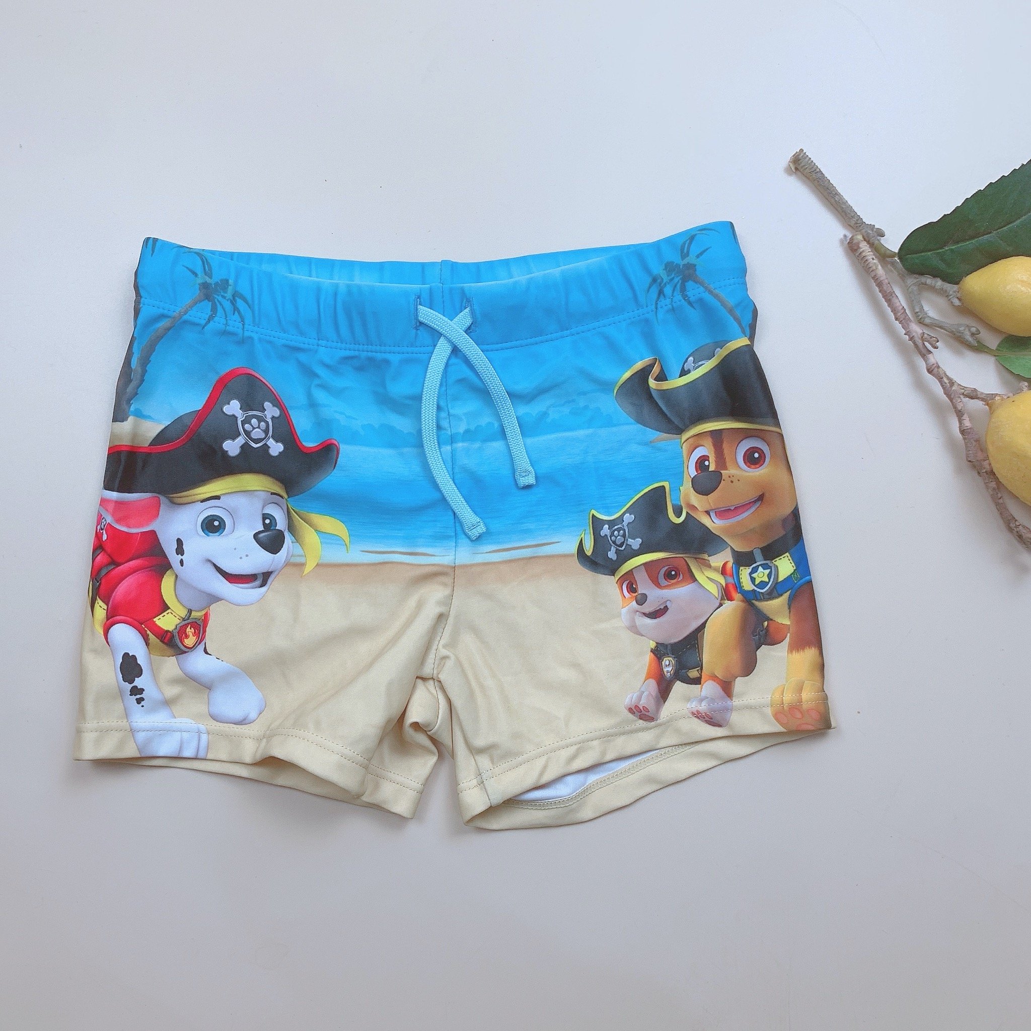 DB00045 - Quần bơi cho bé trai - Bảng màu 1