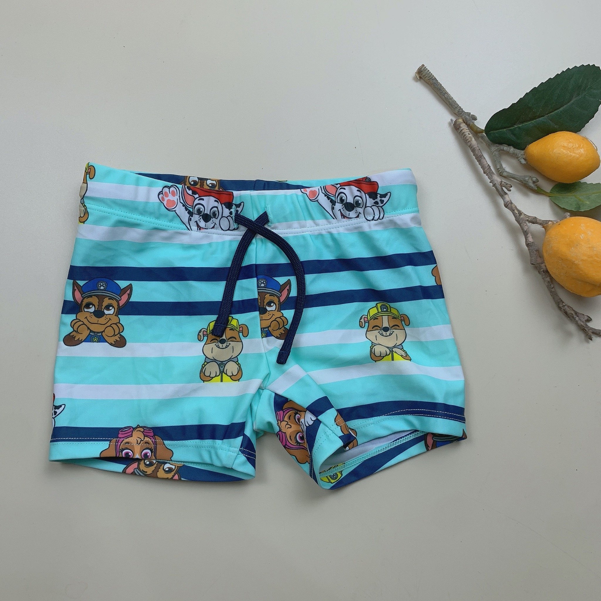 DB00045 - Quần bơi cho bé trai - Bảng màu 1