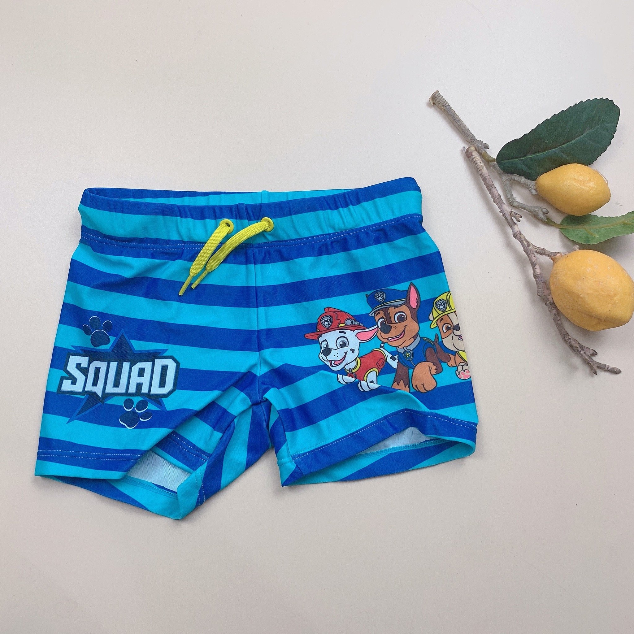 DB00045 - Quần bơi cho bé trai - Bảng màu 1