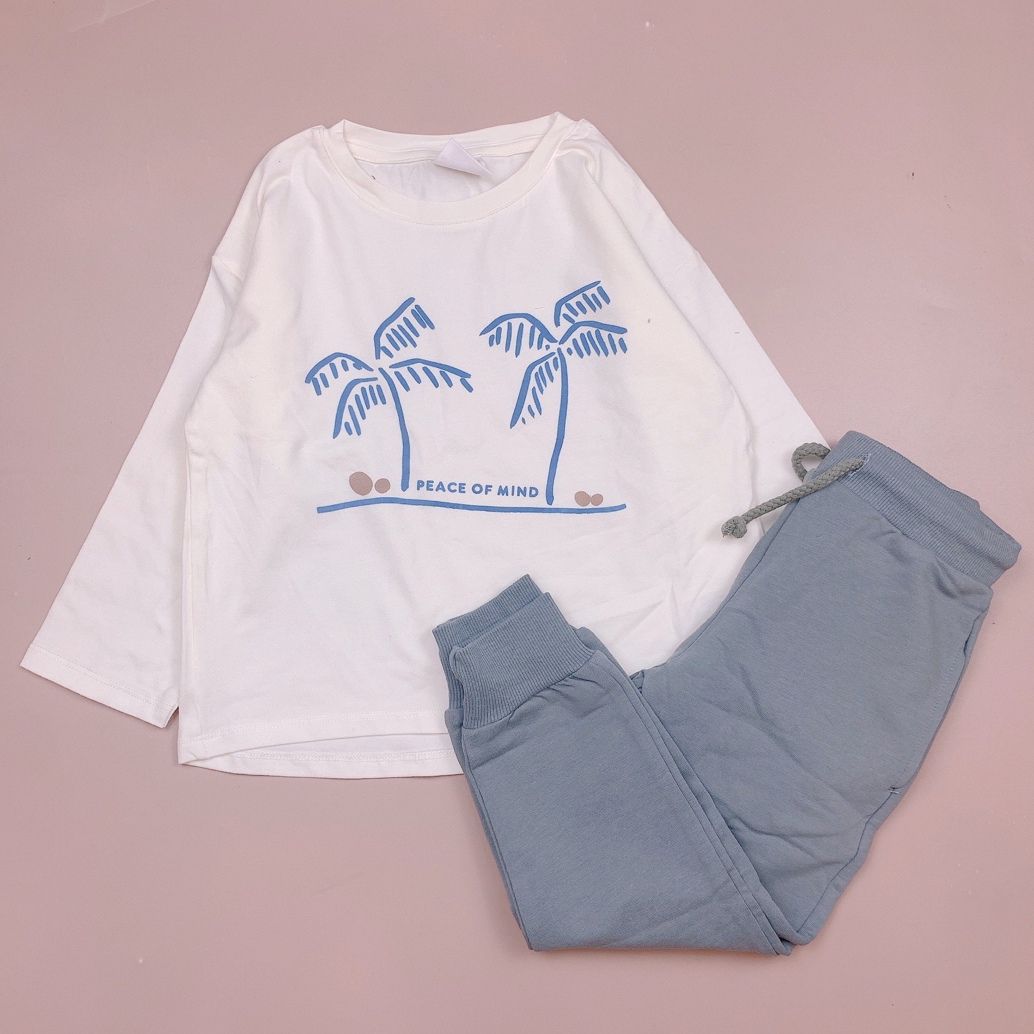 Bộ cotton Minene dài tay nhiều mẫu BT size 2-7y (quần ngẫu nhiên) - Bảng màu 2