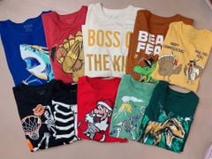 Áo cotton Place BT nhiều màu dòng đại 4-16y