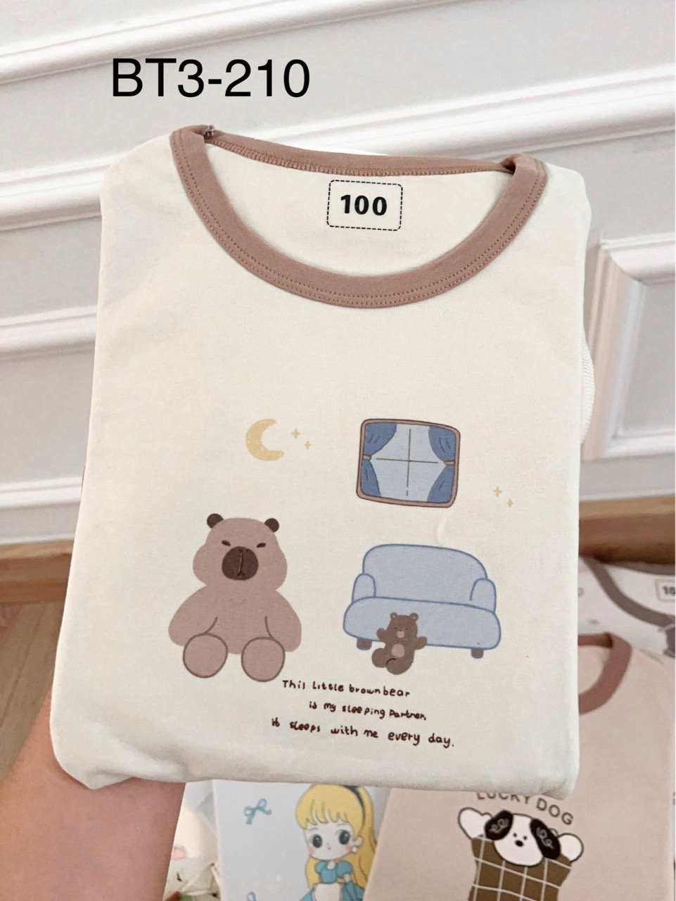 BM3 - Bộ thun Luboer nhiều hình cho Bé Trai size 90 - 160