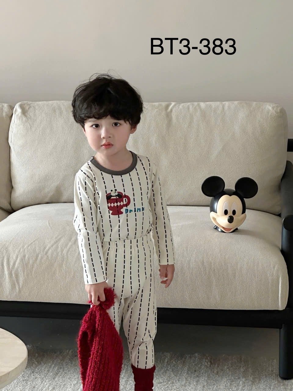 BM3 - Bộ thun Luboer nhiều hình cho Bé Trai size 90 - 160