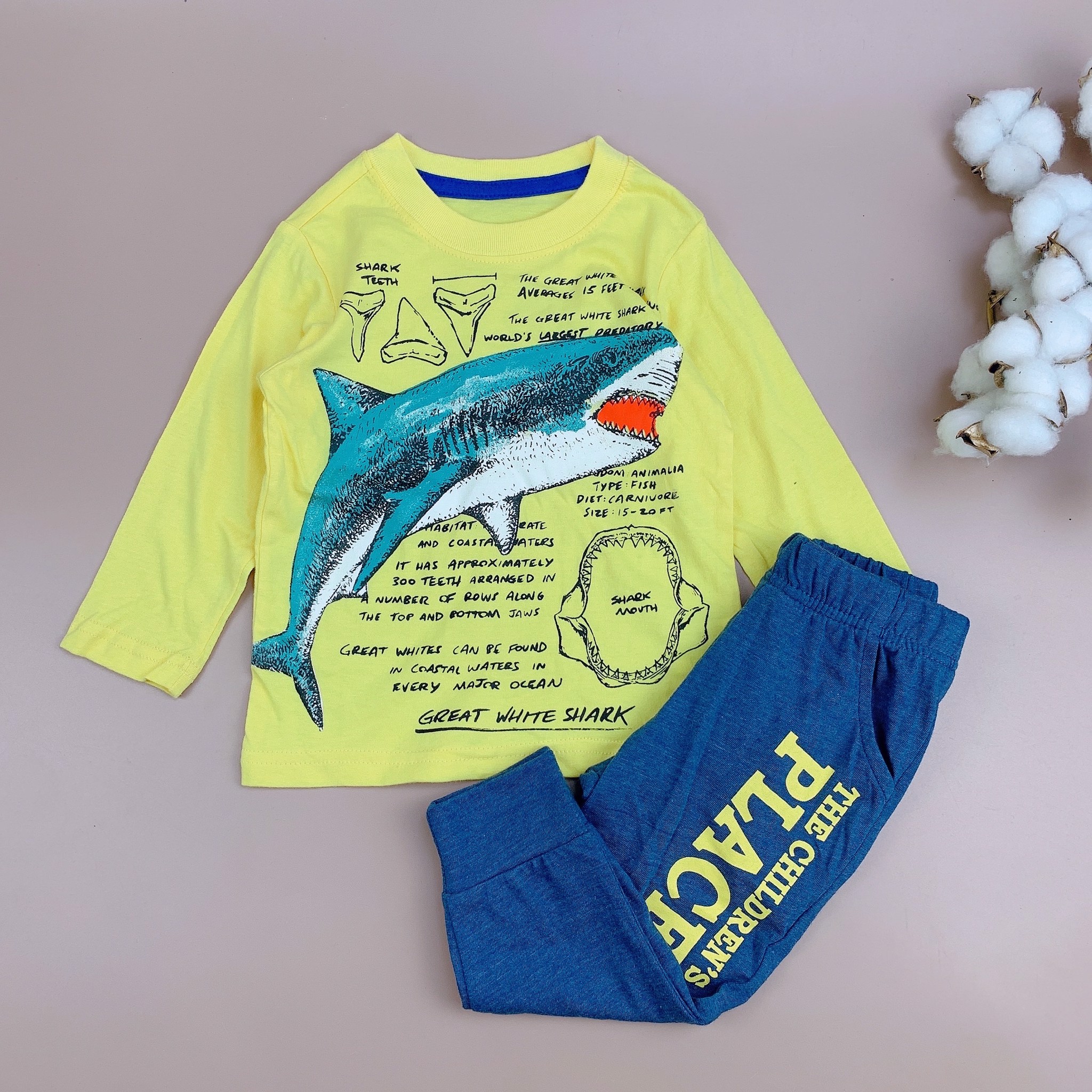 Bộ cotton dài tay Place nhiều hình BT 1-5y