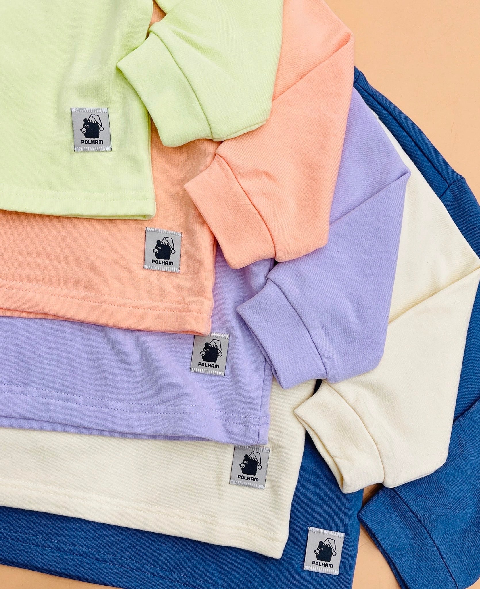 Bộ nỉ da cá Polham phối quần áo phối màu BTBG 110 -160