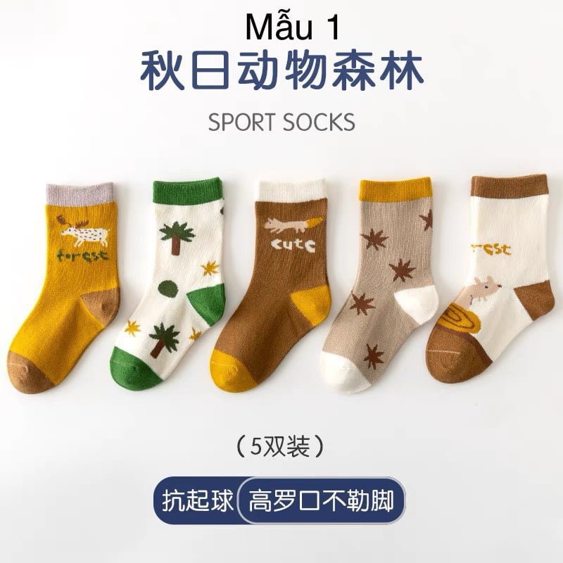 Set 5 tất Minliu Kids Socks nhiều hình Bé Trai size S - XL ( 2 - 12y )