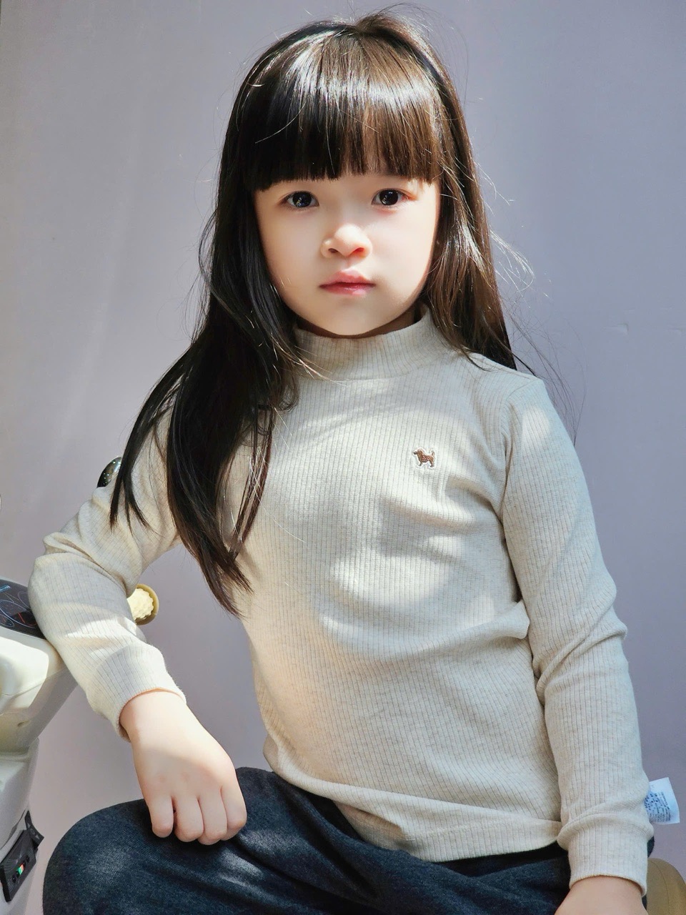 BM2511ST04 - Áo thun giữ nhiệt thêu cún nhiều màu cho bé size 80-160