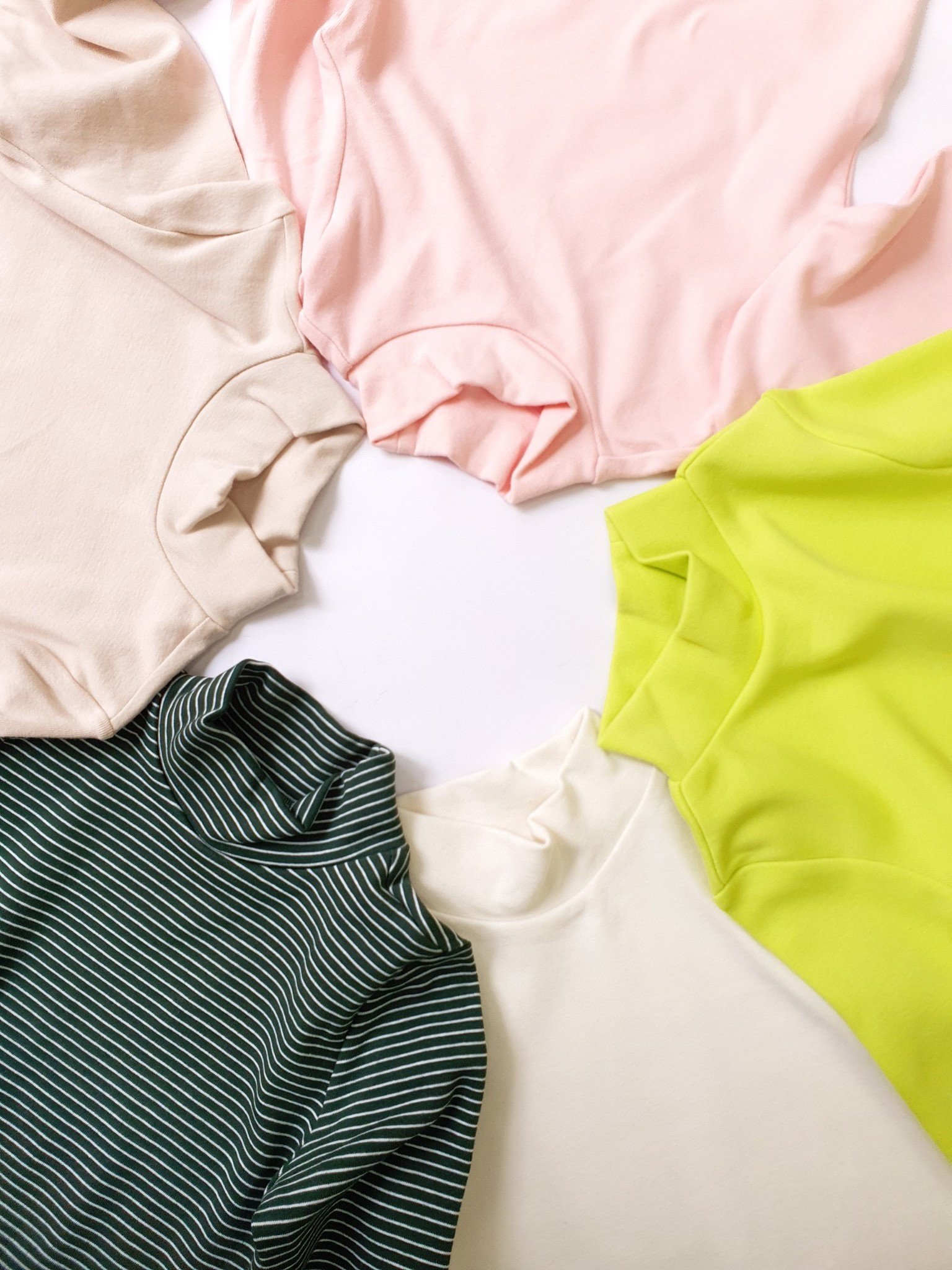 Áo thun dày cổ 3p Totoheros xuất Hàn