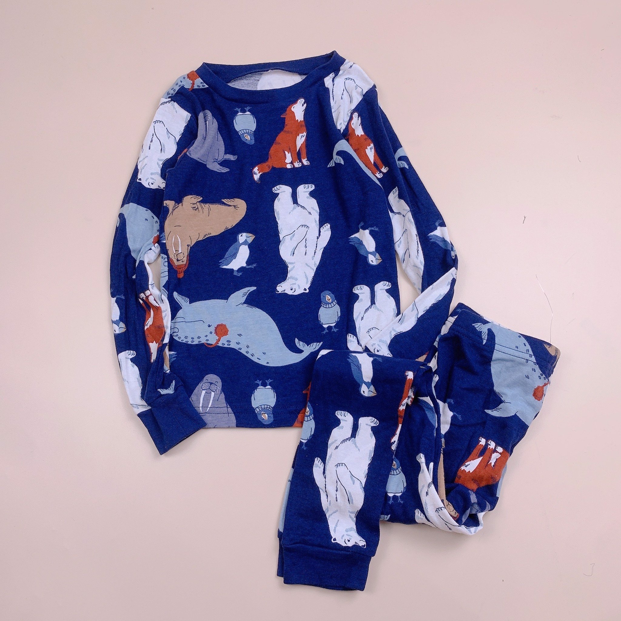 Bộ cotton dài tay Carter