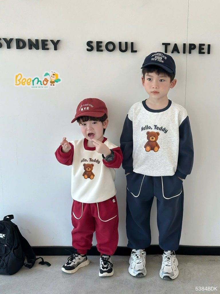 Bộ nỉ Beemo hai da tay giác lăng in gấu teddy 2  màu cho bé size 1-10y