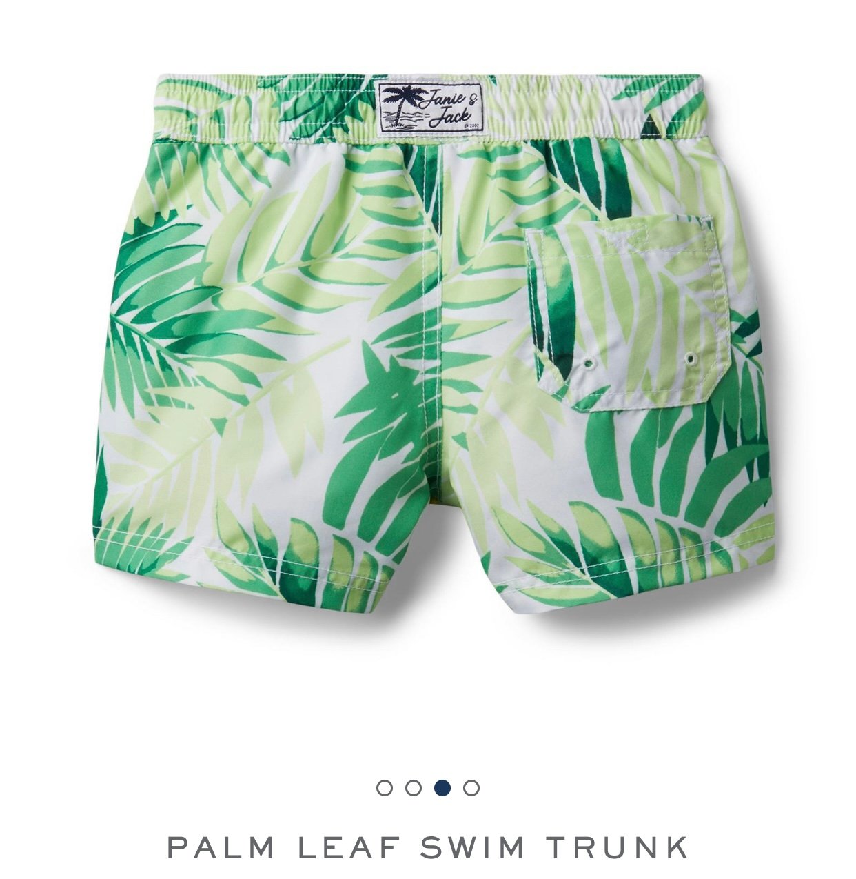 DB00042 - Quần đi biển xanh lá Palm