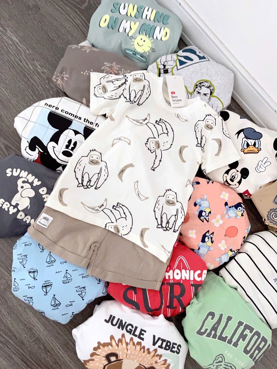 Bộ cotton Muji nhiều màu cho bé trai size 2-5y