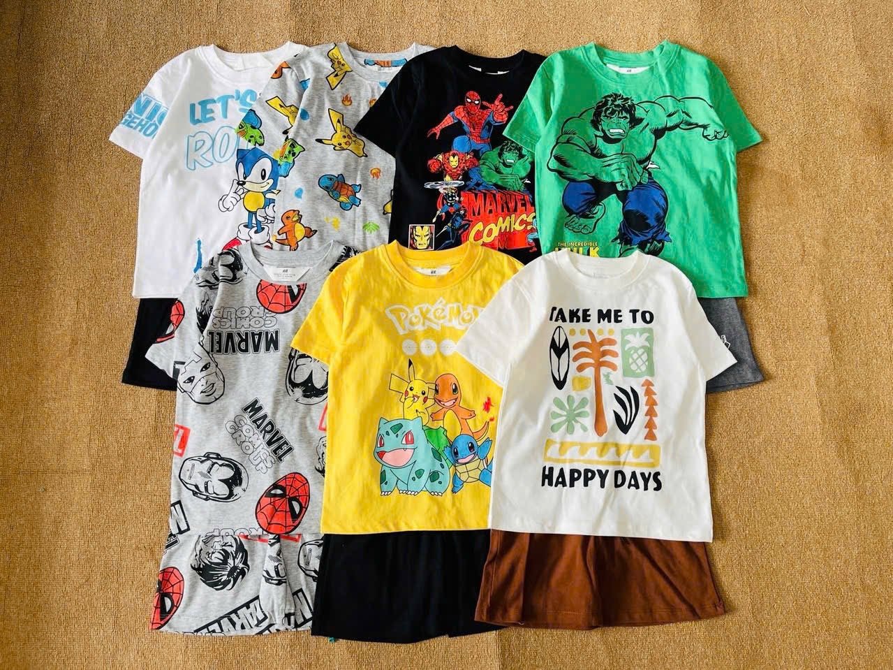 Bộ cotton Hm nhiều mẫu cho bé trai size 2 - 10y ( Bảng màu 2 )