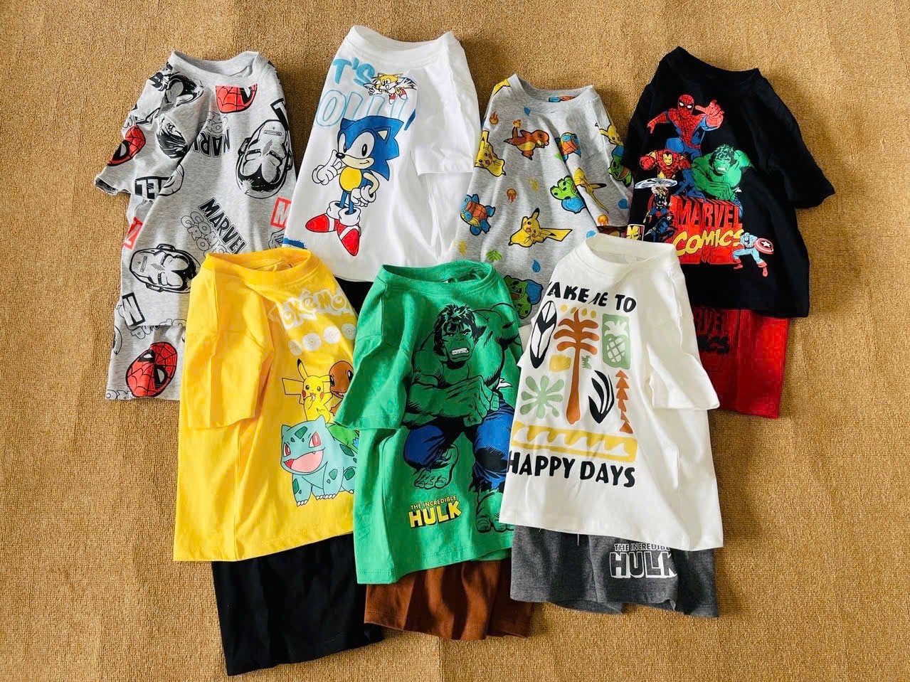 Bộ cotton Hm nhiều mẫu cho bé trai size 2 - 10y ( Bảng màu 2 )