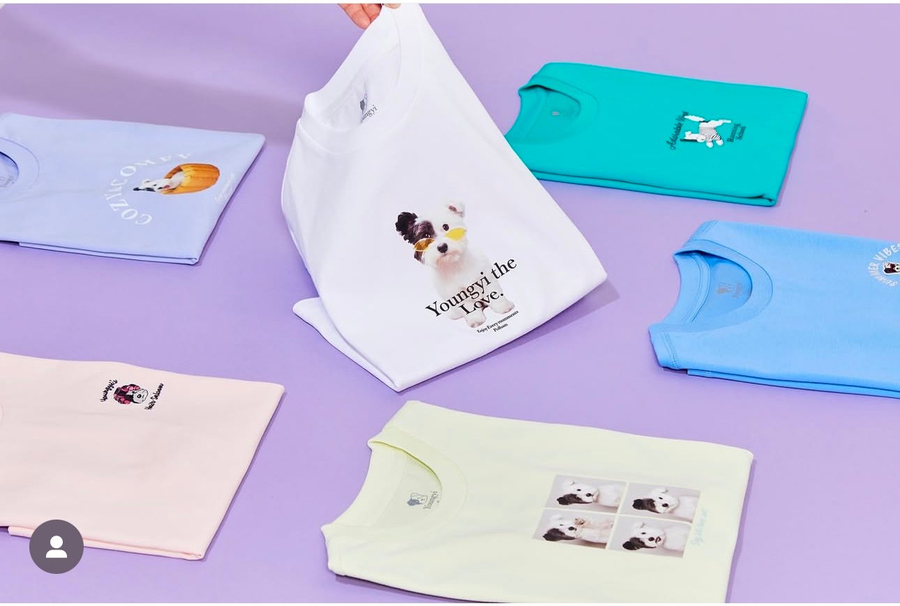 Áo thun dáng ngắn Polham xuất Hàn cho bé size 120-170