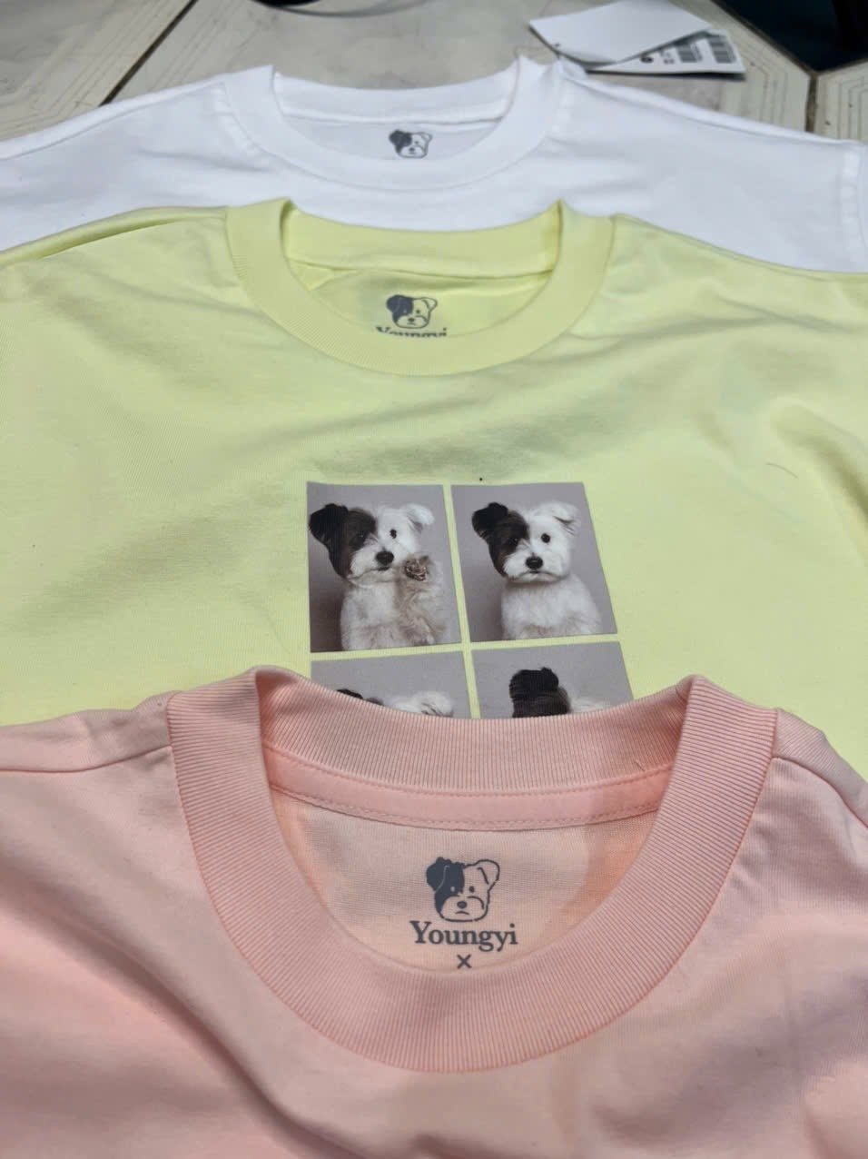 Áo thun dáng ngắn Polham xuất Hàn cho bé size 120-170