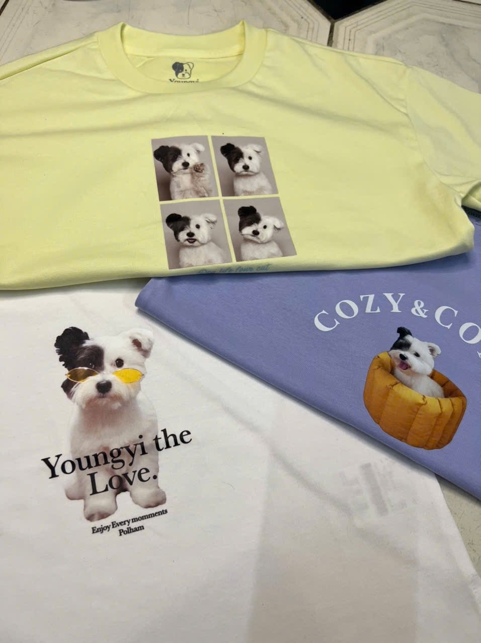 Áo thun dáng ngắn Polham xuất Hàn cho bé size 120-170