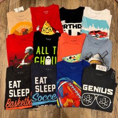 BM4 - Áo cotton Place dư xịn dòng đại nhiều màu bé trai size 4-16y