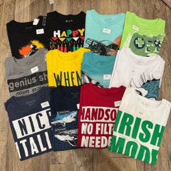 BM2 - Áo cotton Place dư xịn dòng đại nhiều màu bé trai size 4-16y