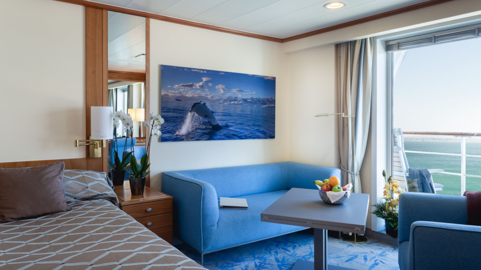 TOUR QUẦN ĐẢO FALKLAND – NAM GEORGIA – NAM CỰC 26 NGÀY