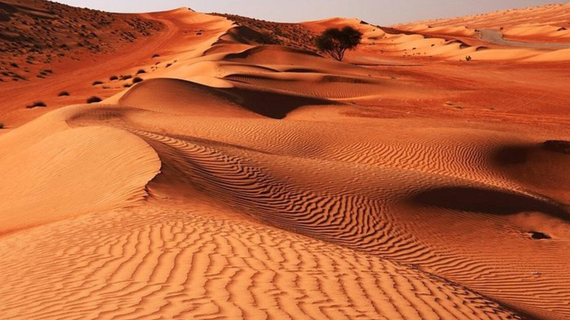 TOUR OMAN - JORDAN 11 NGÀY