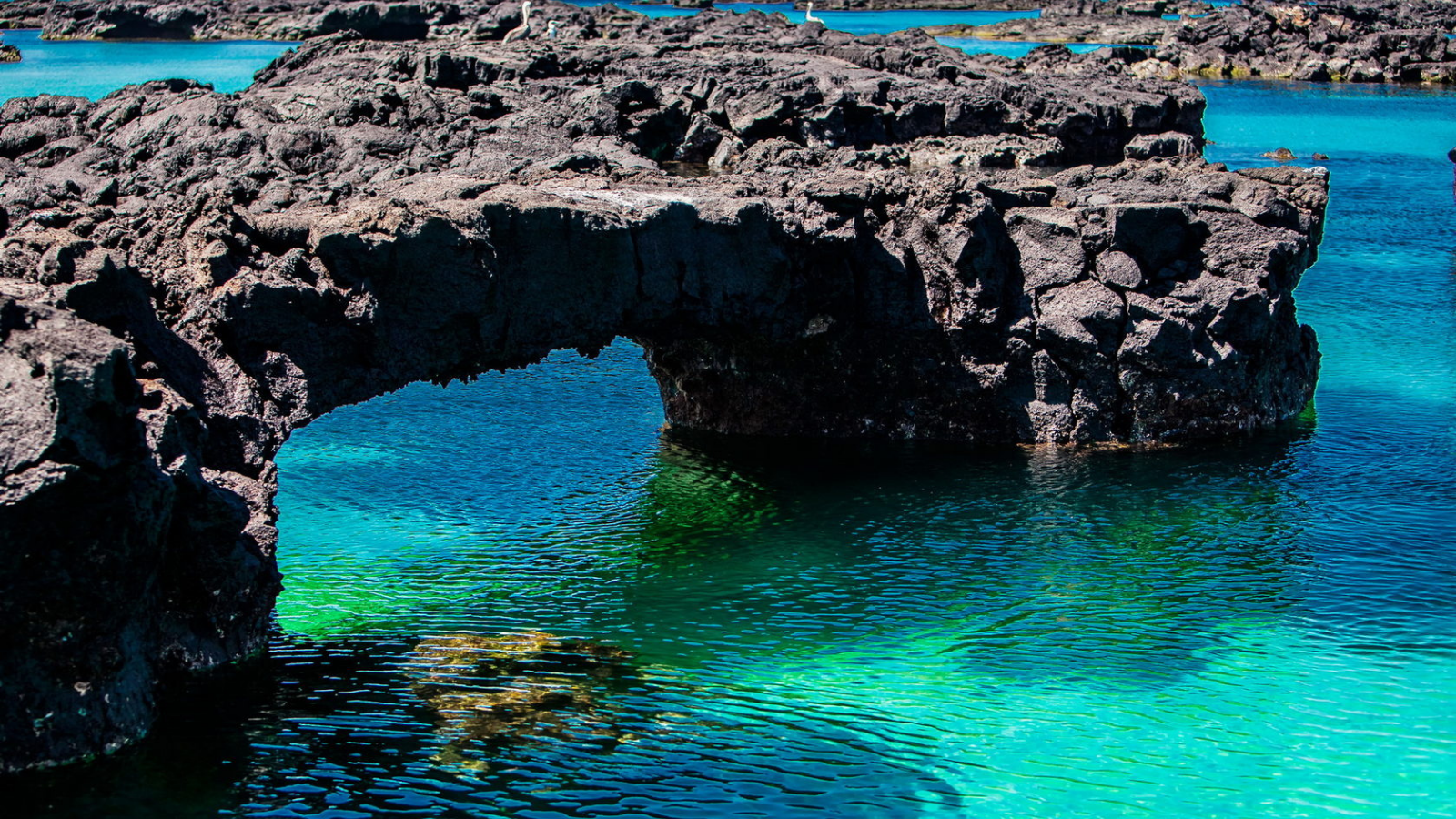 TOUR: PERU – ECUADOR – ĐẢO GALAPAGOS 16 NGÀY