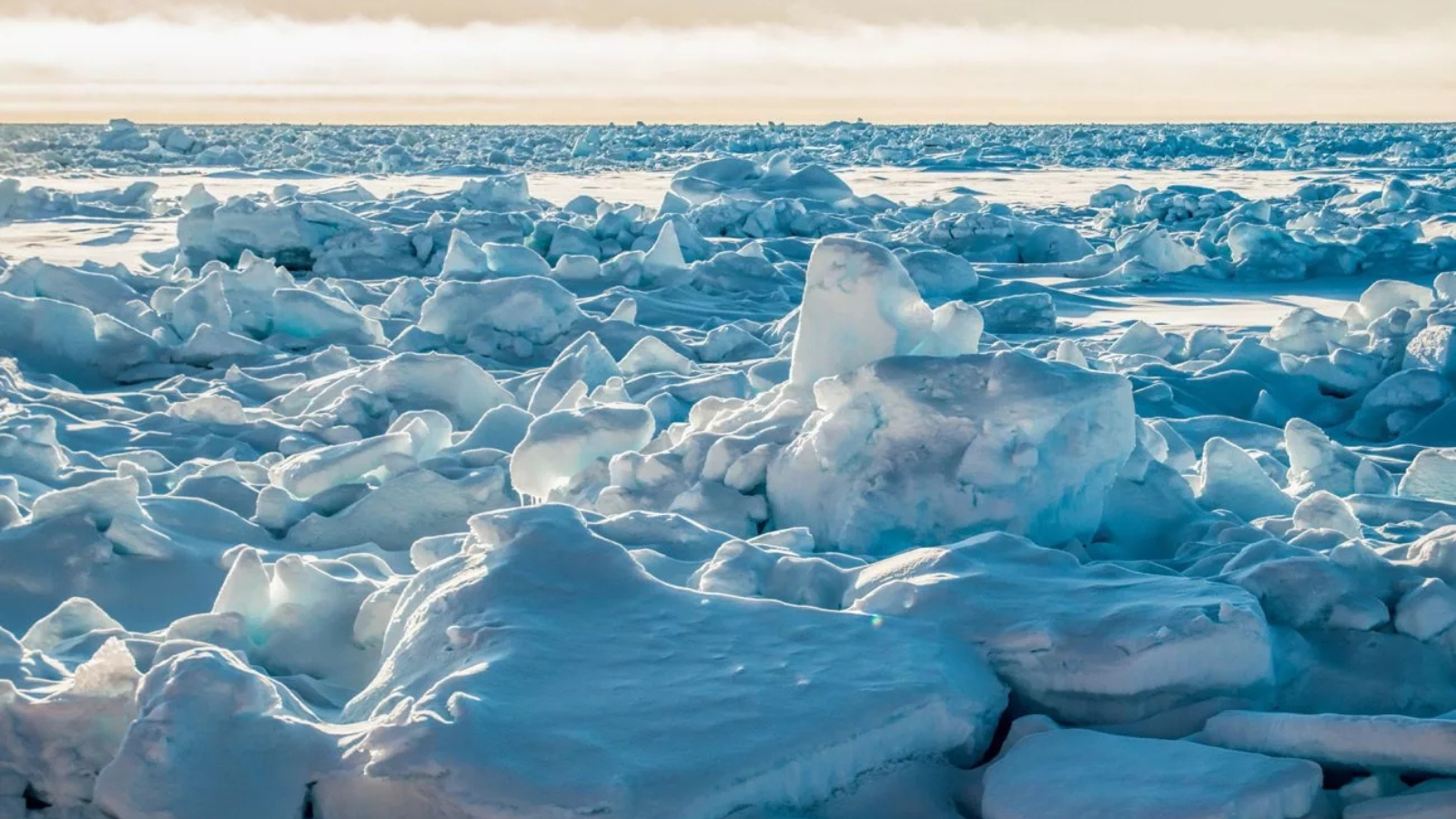 TOUR BẮC CỰC: LOFOTEN - LONGGYEARBYEN – QUẦN ĐẢO SVALBARD – BIỂN BĂNG – OSLO 17 NGÀY