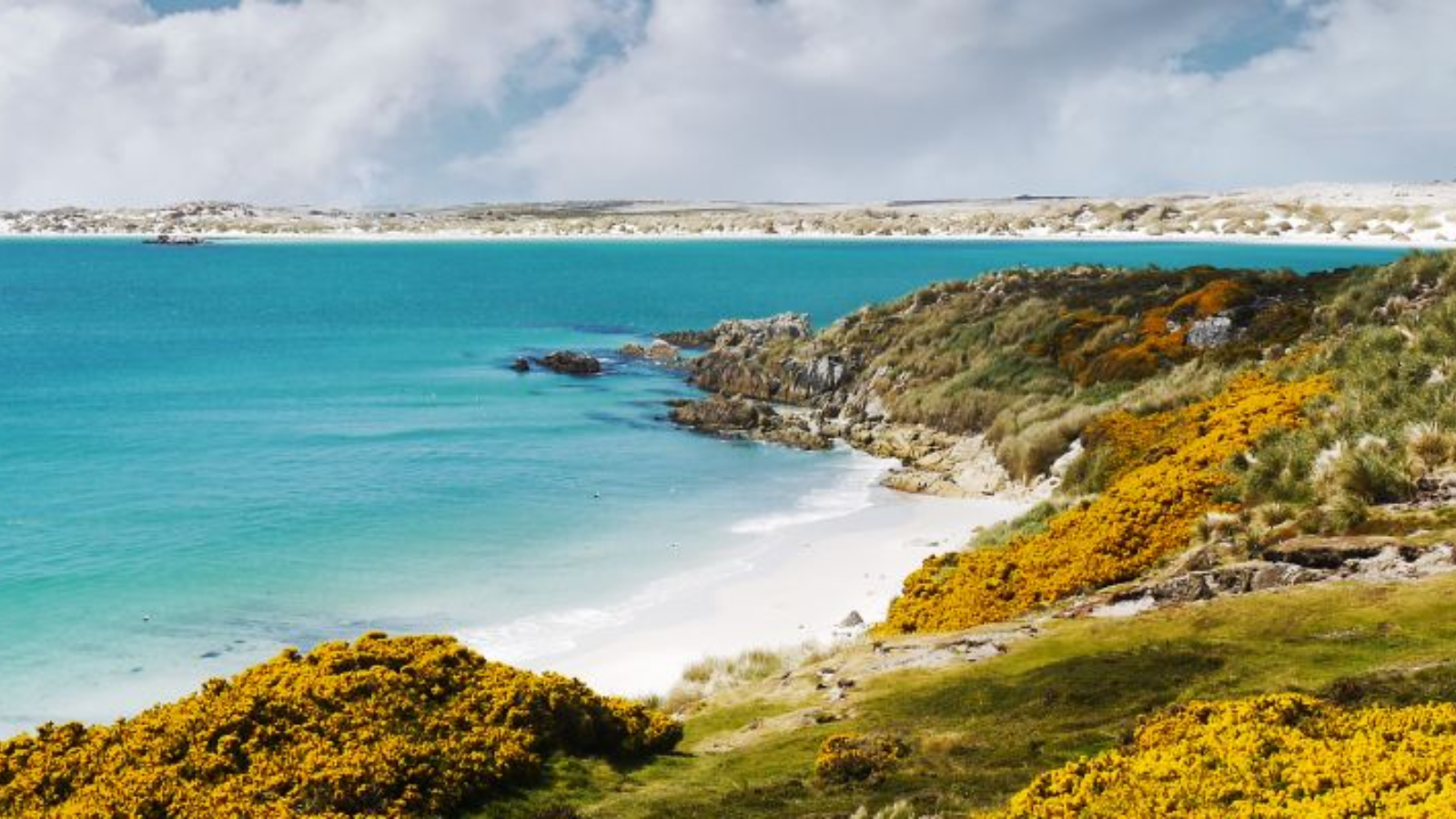 TOUR QUẦN ĐẢO FALKLAND – NAM GEORGIA – NAM CỰC 26 NGÀY