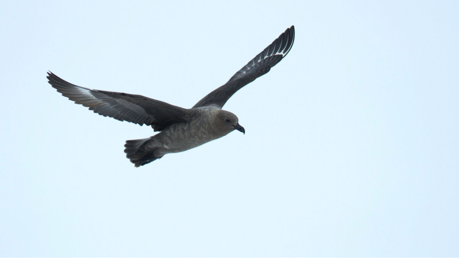 TOUR: CHINH PHỤC ĐỈNH NAM CỰC - SOUTH POLE °