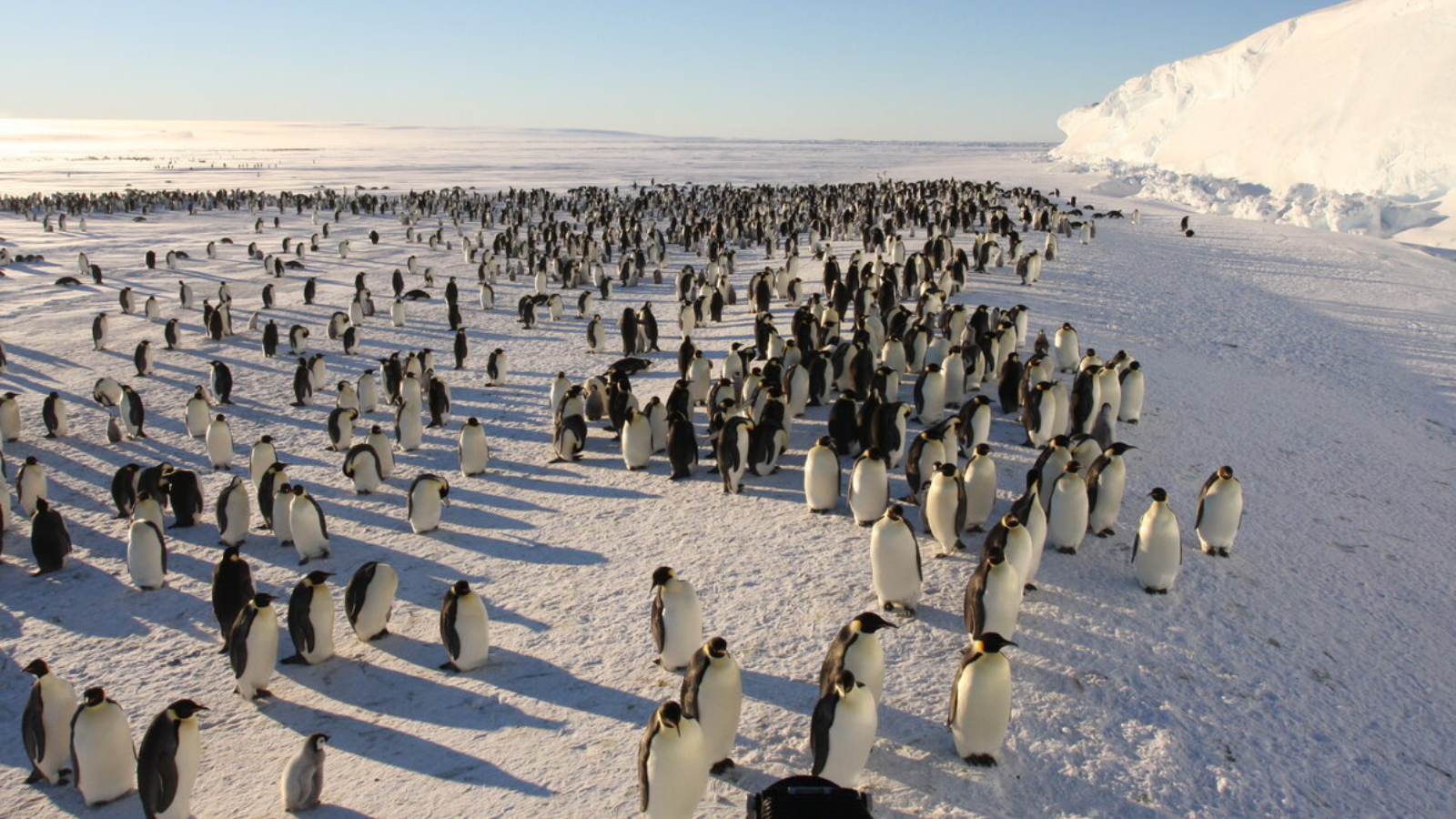 TOUR: CHINH PHỤC ĐỈNH NAM CỰC - SOUTH POLE ° 2026-2027