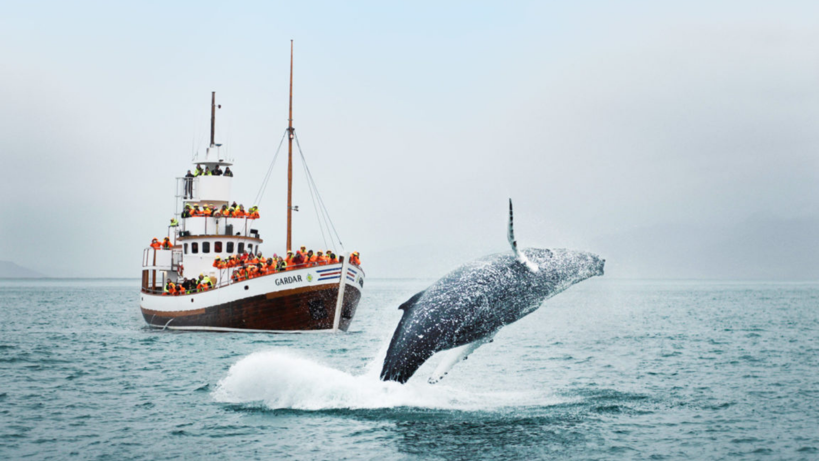 TOUR KHÁM PHÁ QUỐC ĐẢO ICELAND 11 NGÀY