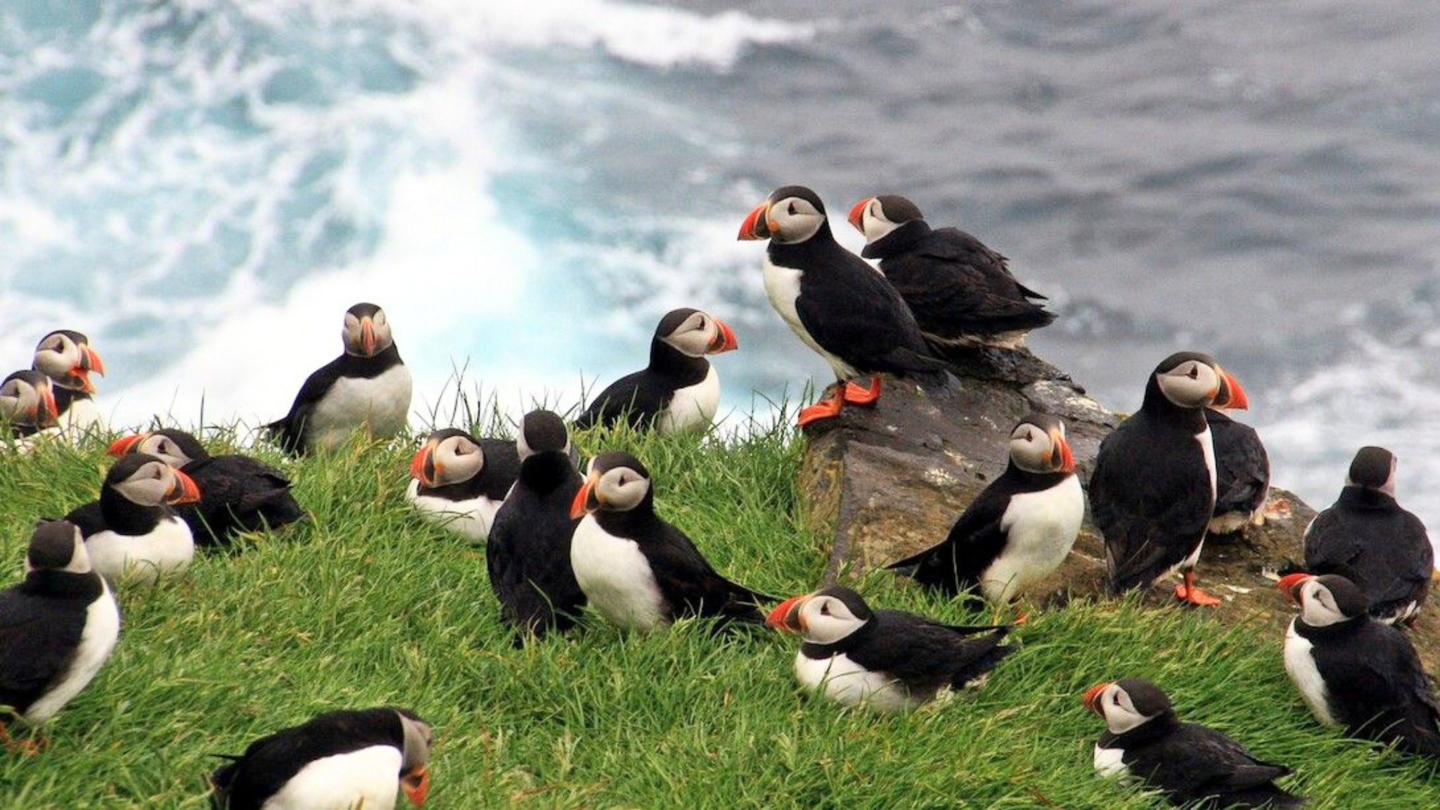 TOUR FAROE-ICELAND-GREENLAND 14 NGÀY