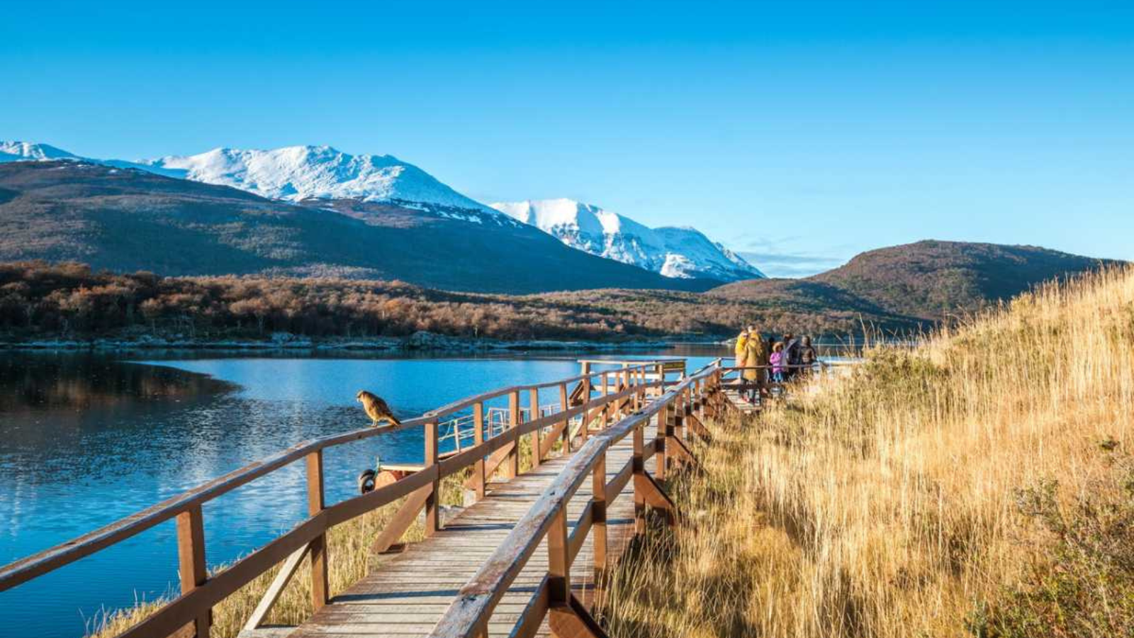 TOUR NAM CỰC: KHÁM PHÁ NAM CỰC 17 NGÀY