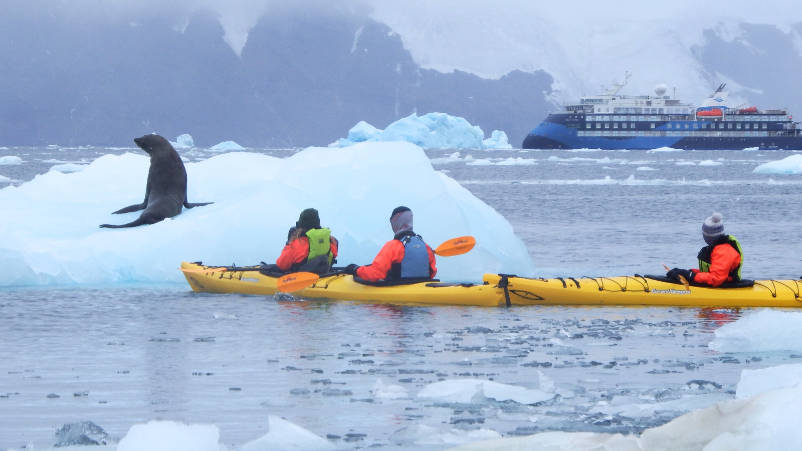 TOUR NAM CỰC: KHÁM PHÁ NAM CỰC 17 NGÀY