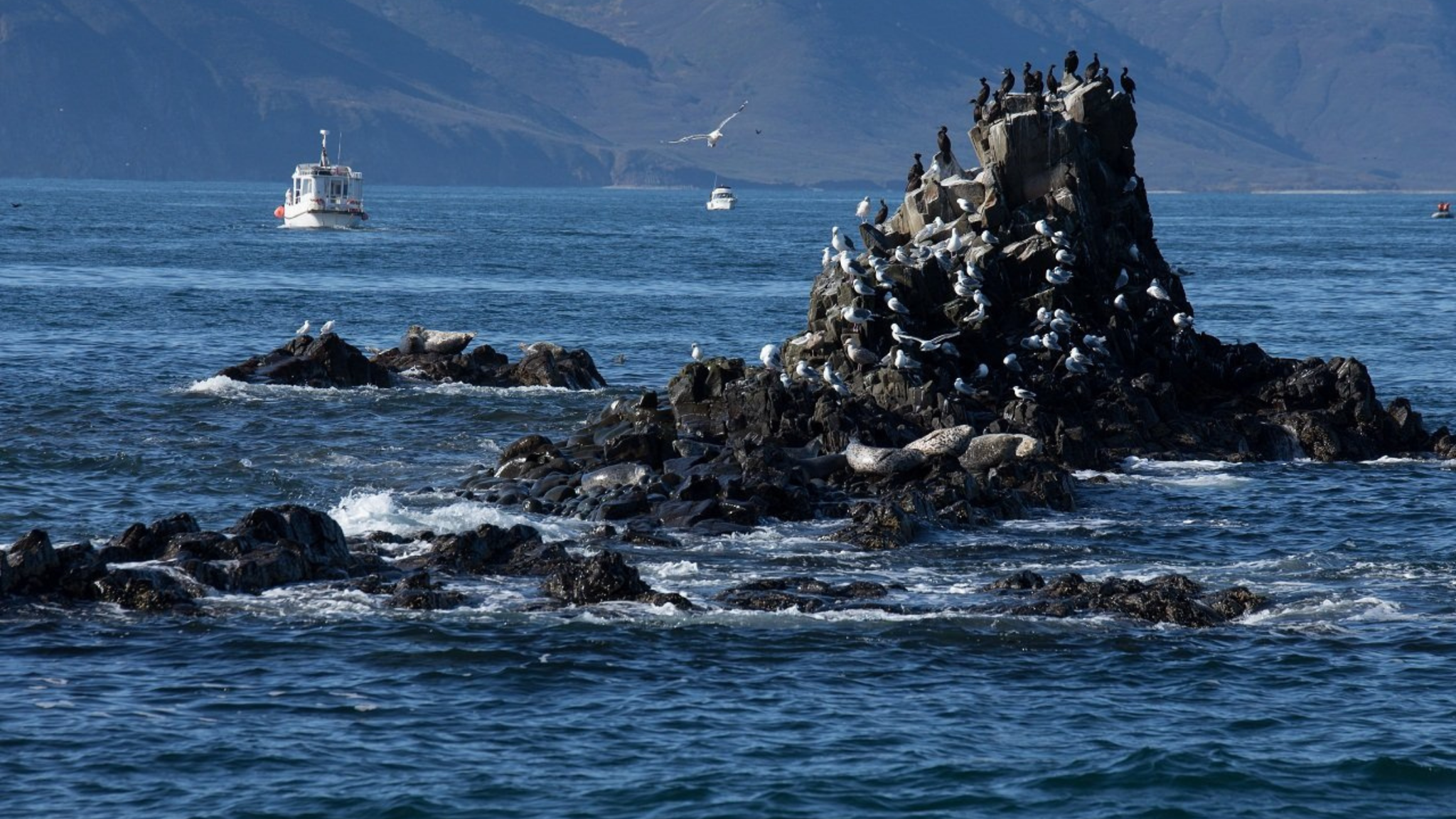 TOUR KAMCHATKA - VLADIVOSTOK - IRKUTSK 12 NGÀY