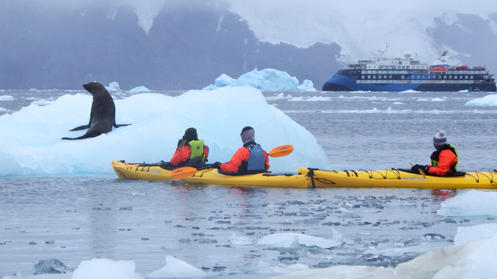 TOUR NAM CỰC: KHÁM PHÁ NAM CỰC 17 NGÀY
