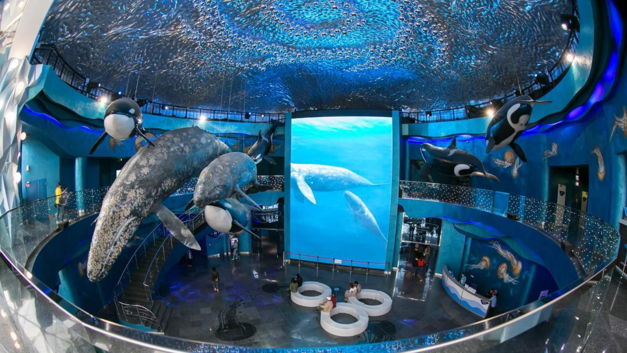 TOUR KAMCHATKA - VLADIVOSTOK - IRKUTSK 12 NGÀY