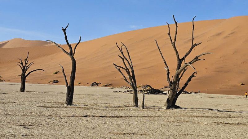 TOUR NAMIBIA - CHÂN TRỜI BẤT TẬN 15 NGÀY