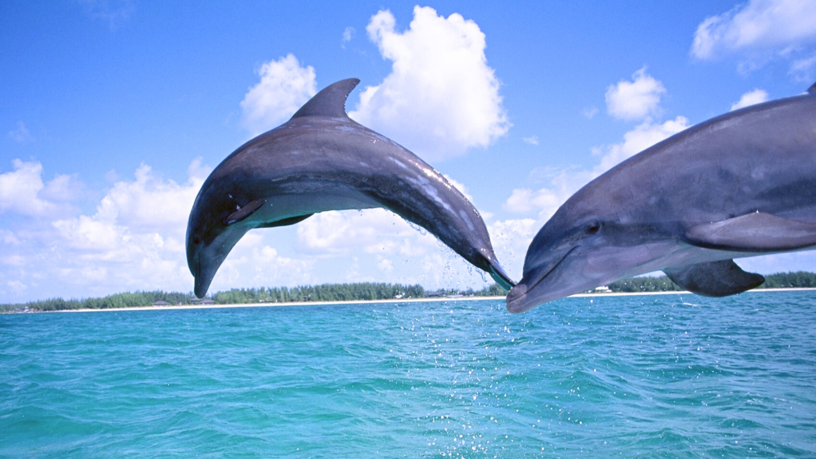 TOUR: KHÁM PHÁ MEXICO – CUBA 14 NGÀY