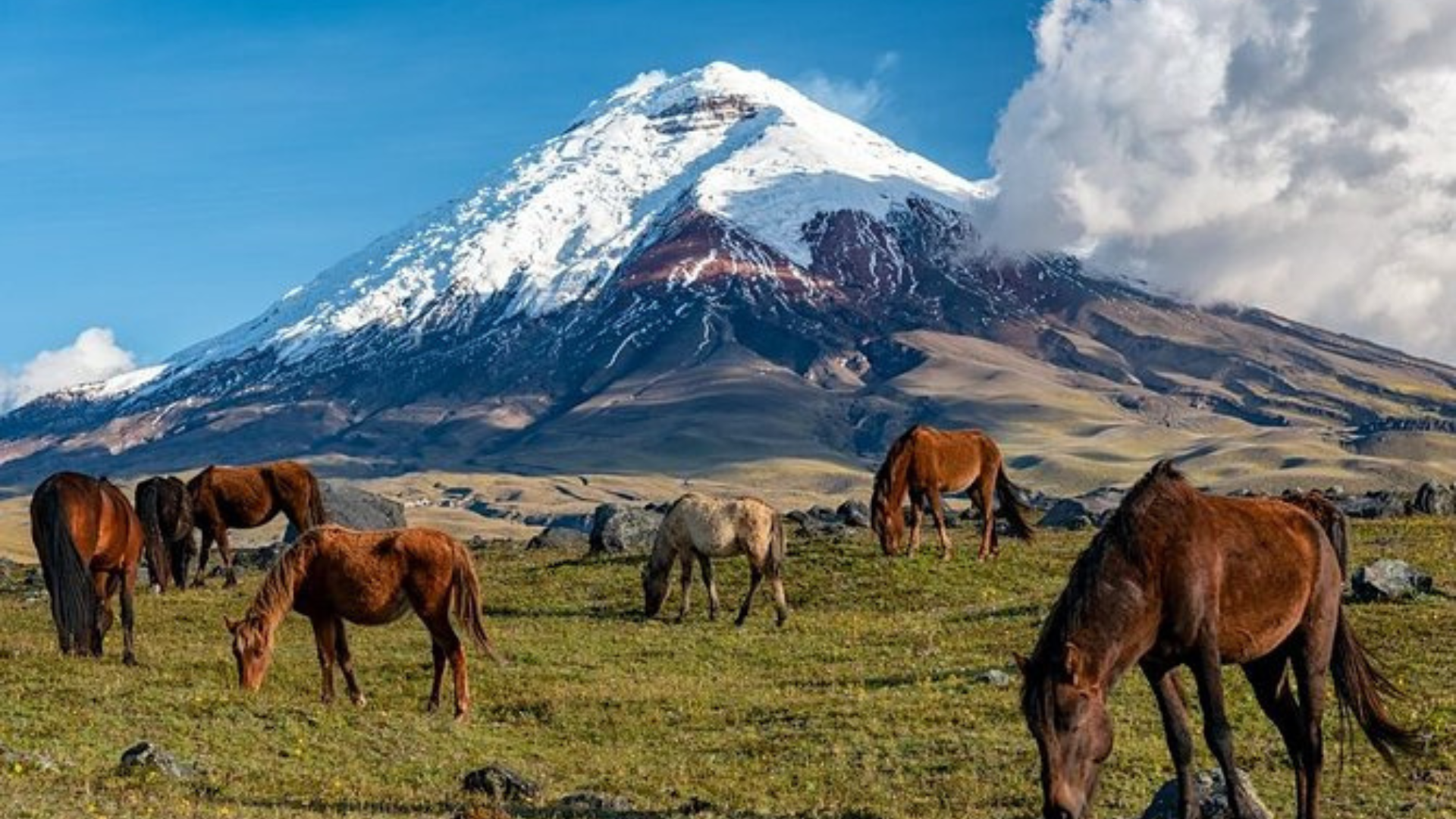 TOUR NAM MỸ: COLOMBIA - ECUADOR 18 NGÀY