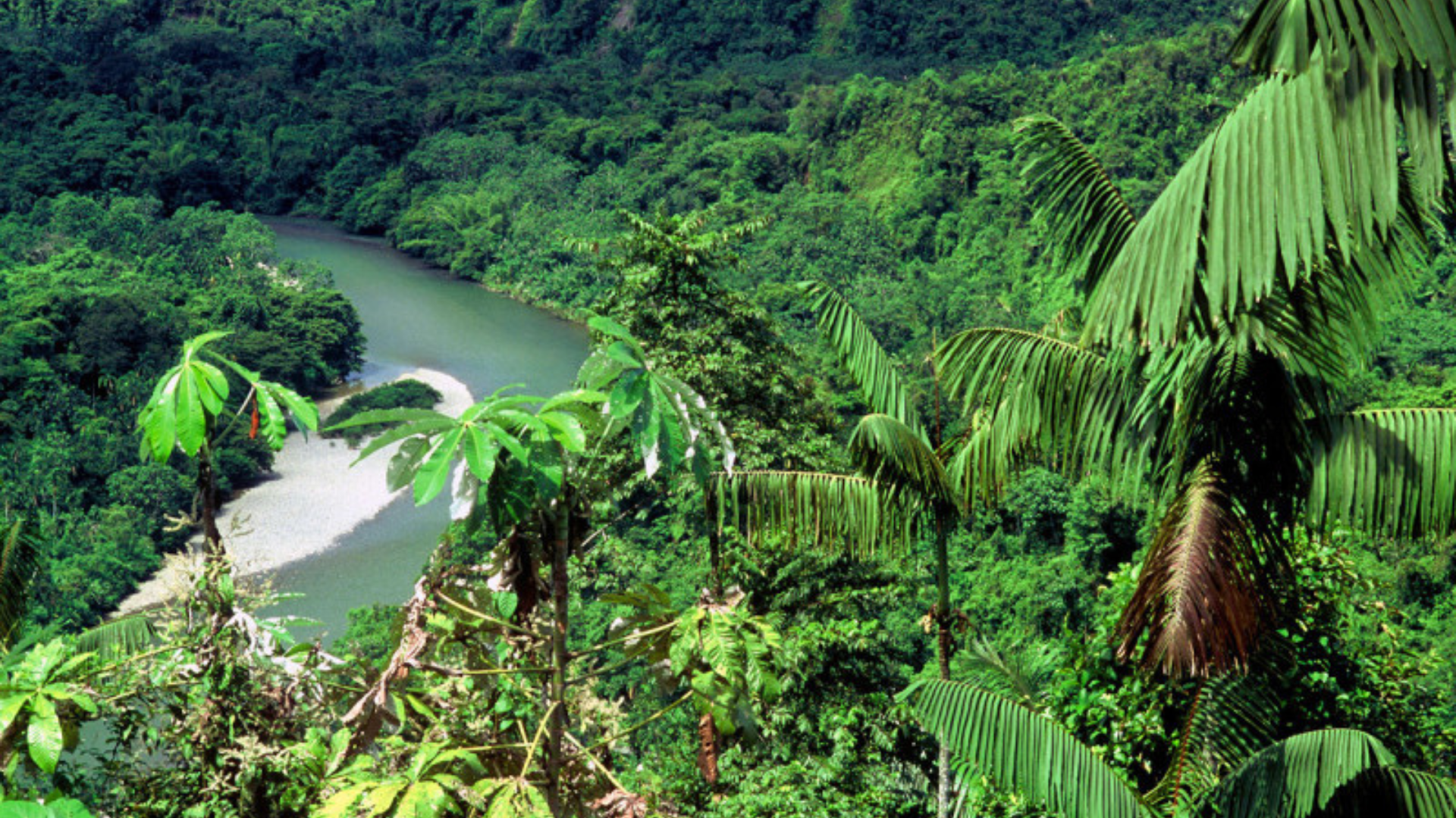 TOUR NAM MỸ: VENEZUELA – COLOMBIA - ECUADOR 22 NGÀY