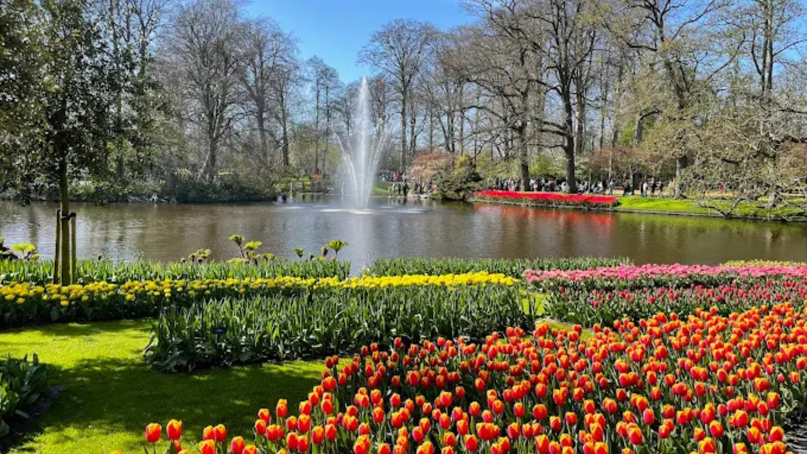 TOUR HÀ LAN: DẤU ẤN HÀ LAN XỨ SỞ LOÀI HOA TULIP