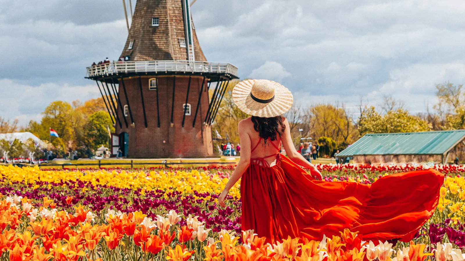 TOUR HÀ LAN: DẤU ẤN HÀ LAN XỨ SỞ LOÀI HOA TULIP