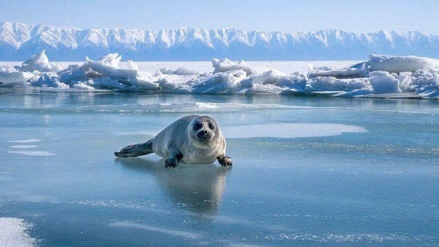 TOUR KHÁM PHÁ HỒ BAIKAL - BĂNG XANH – SIBERIA