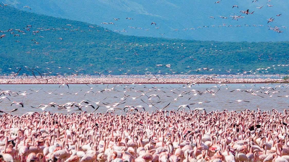 TOUR HÀNH TRÌNH THÚ DI CƯ - THÁC VICTORIA