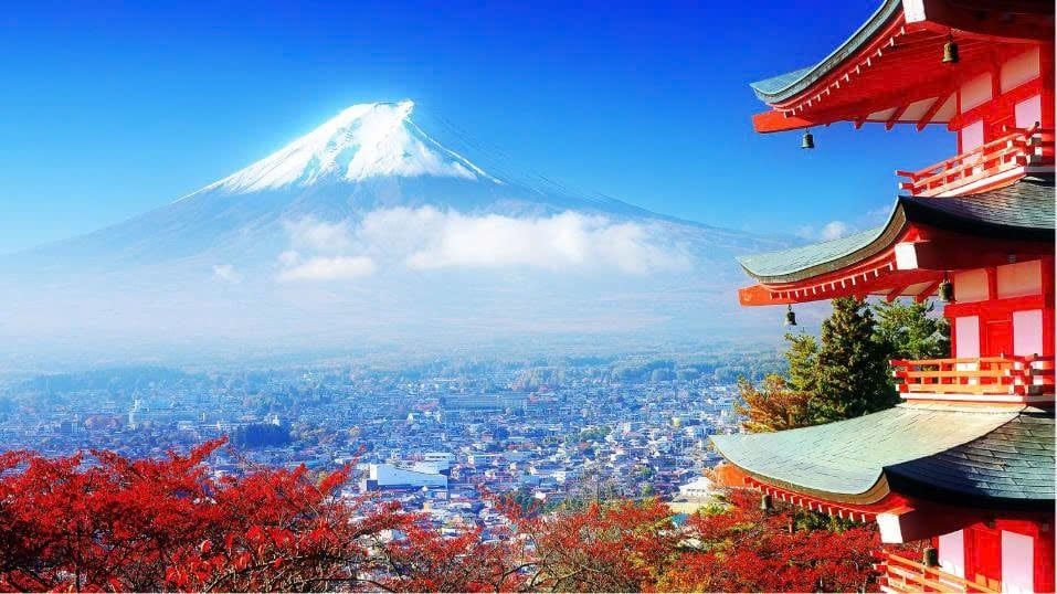 TOUR NHẬT BẢN: HÀNH TRÌNH VÀNG NGẮM HOA ANH ĐÀO ĐẸP NHẤT 2026